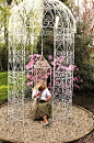 Royal Scroll Metal Gazebo & Swing Seat traditional gazebos