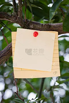 枝,背景,便签,空白的,垂直画幅,留白,枝繁叶茂,标签,图钉,文档
