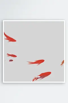 金鱼鲤鱼插图中国风水墨画手绘艺术小鱼-众图网
