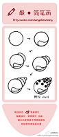 贝壳