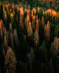 Out of the mist - Tumblr Photos (35)