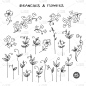 Set of branches. Hand drawn black ink isolated flo