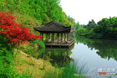 在下庄挺采集到杏花春雨江南