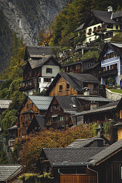 百变鑫君’采集到城市风景