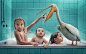 John Wilhelm is a photoholic on Behance