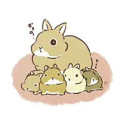 @兔美淡定烤熊肉 的个人主页 - 微博