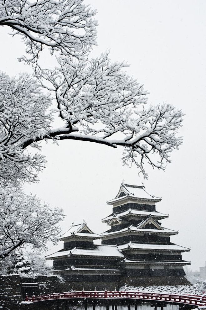 斯诺在松本城（乌鸦城堡），日本长野