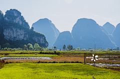 王振卫采集到美景