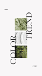 Color trends for May. Inspired by the blooming earth, my favorite colors for May 2020 are chive, white, and pistachio. These tones are suggestive of health, restoration, and simplicity. Something we all could use more of this year. What do you think of th
