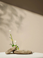 背景