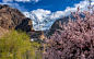 Goal Kw-graphicstyle在 500px 上的照片Spring blossom in Hunza Village