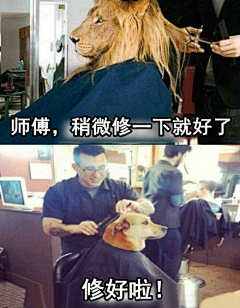 黑光暗华采集到生活