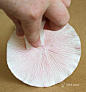 diy手工纸艺教程 - 纸蘑菇制作教程和图纸分享 - 手工客，diy手工制作教程频道
