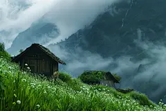 春天林中的小屋图片