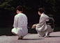 Yasujiro Ozu, The End of Summer 1961