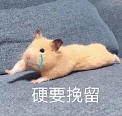  『阿猫阿狗沙雕表情包 第六弹了⑧』
图源网络 可补充至评论区
素质取图！！！