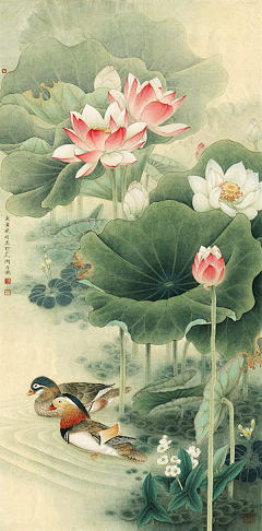 薄薄荷丶采集到莲
