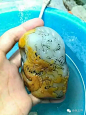 玉雕设计素材——龙（十）