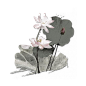 中国古风水墨花手绘水彩植物花卉装饰 免抠png透明图片背景ps素材 (155)