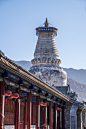 【山西五台山塔院寺】塔院寺是五台山核心寺庙群中最大的寺院之一，也是五台山风景区主要的景点之一。寺庙中有一大白塔，有说是元代时由尼泊尔匠师阿尼哥设计建造，明代有过重修。塔高56米，为覆钵式，塔身洁白神圣，在蓝天白云的映衬下壮丽无比。 ​ ​​​​
