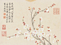 “ 没骨晕染，造形逼真 … ”丨钱维城 · 花鸟欣赏 ​​​​