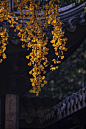 江南秋_风景_POCO摄影,追光,秋色