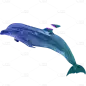 蒸汽波贴纸-海豚