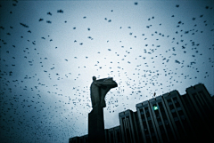 -XXXL采集到★