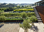 美国law酒庄景观设计 by Lutsko Associates Landscape-mooool设计