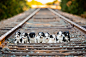 Photograph Little Puppies. by Sergey Bidun on 500px