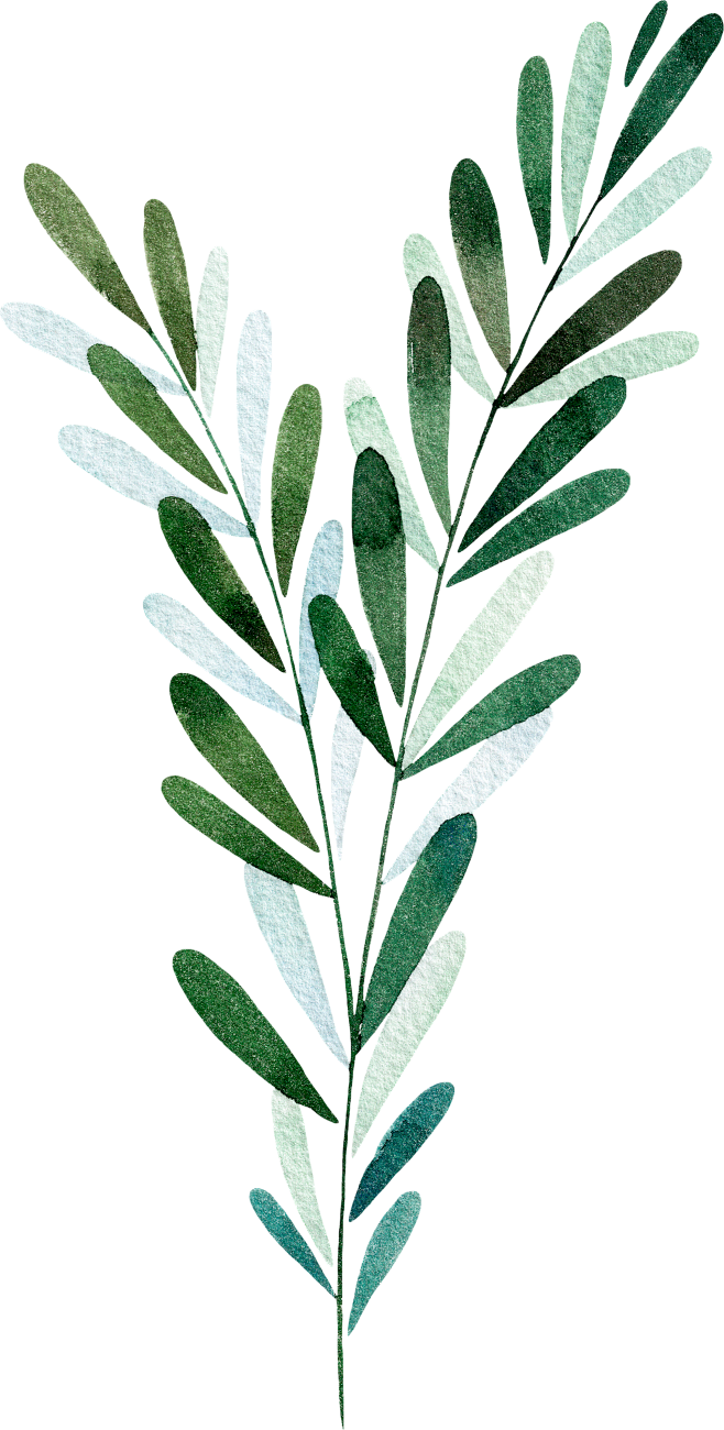 【PNG素材点击图片可下载】植物花卉 植...