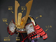 喜马拉雅山的咖啡采集到日本盔甲