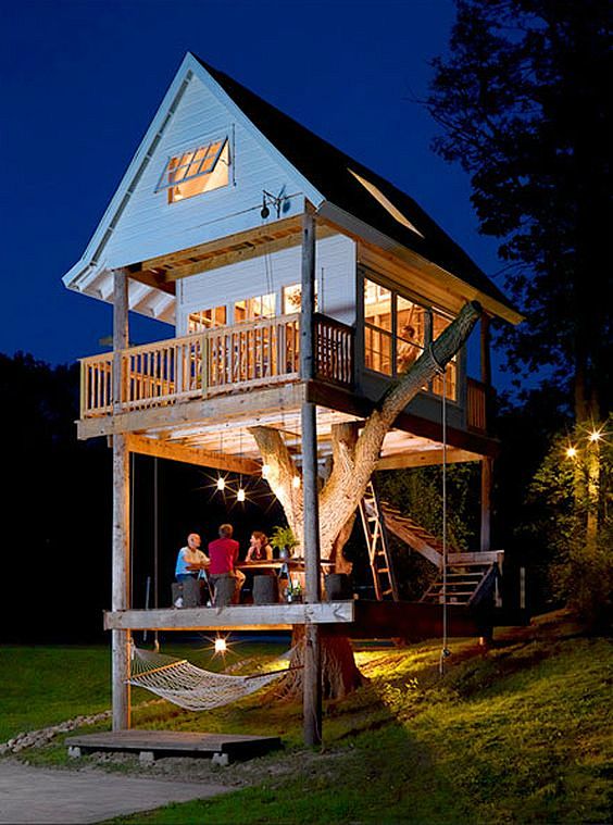 Tree house!: 