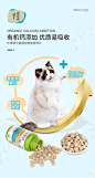 乐唯诺宠物猫骨胶原钙片100g宠物猫咪折耳金吉拉猫咪强健骨骼钙片-tmall.com天猫