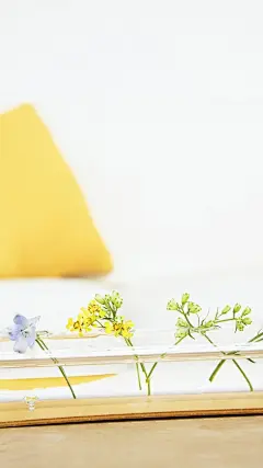★微博壁纸集-风景静物系列手机壁纸★ 
【新浪微博:高清无水印iphone萌壁纸】