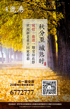 魔力咖¿采集到海报