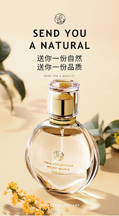 粥粥的摸鱼日常采集到摄影