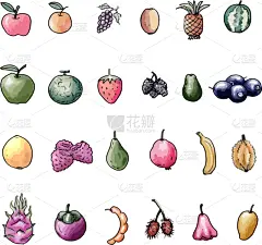 矢量,绘画插图,健康食物,白色背景,水果,概念,水彩画颜料,背景分离,绘制,烹调