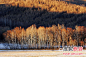 《夜宴》外景地莫尔道嘎 内蒙古最绚丽的秋色