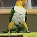MoooonBird