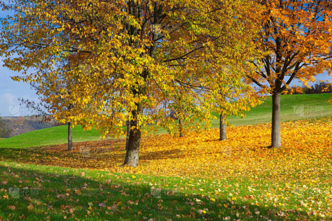 城市公园与秋天的颜色 