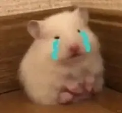 鼠鼠表情包(´-ω-`)_1_虾球喵喵狐_来自小红书网页版