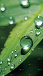 传统节气雨水3D立体合成场景背景图片素材