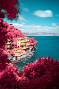 Infrared G20 : The Infrared G20 project consists of ten photographs of significant places in Santa Margherita Ligure. These pictures were captured with a modified sensor camera, able to see the invisible frequencies of infrared light; an invitation to fur