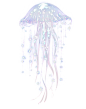 星星水母4—可商用高清无水印底素