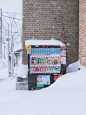 满是奶油味的北海道圆了我的雪国梦❄️ (1)