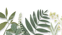 ins风叶子  - 源文件下载【酷图网】模版,唯美,叶子,热带,花草,ins风,印花,LOGO,图标,贴纸,花边,水彩,背景,装饰画,小清新,手绘,植物,图片,墙画,展板,画册,招贴,海报,抽象画,挂画,北欧,组合画,现代简约,素材,高清图片,创意森林,PNG,免抠,设计,广告,包装,底纹边框,相框,300DPI,JPG,PSD,
