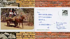 我可能不会爱你影视高清壁纸桌面壁纸4