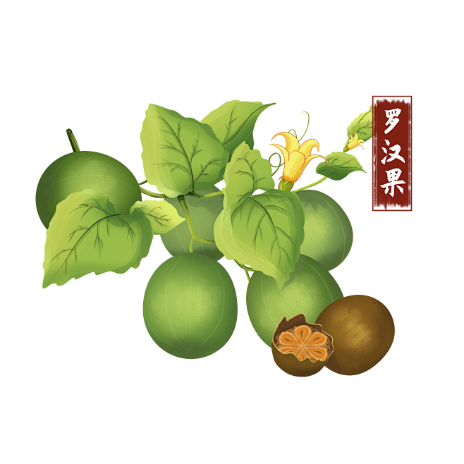 罗汉果