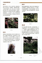 中国园林图解词典_65
